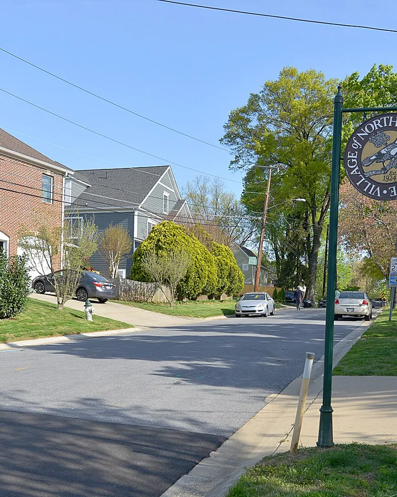 A tree-lined street in Chevy Chase, Maryland