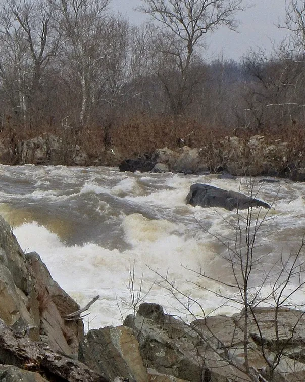The Great Falls of the Potomac from the Virginia side