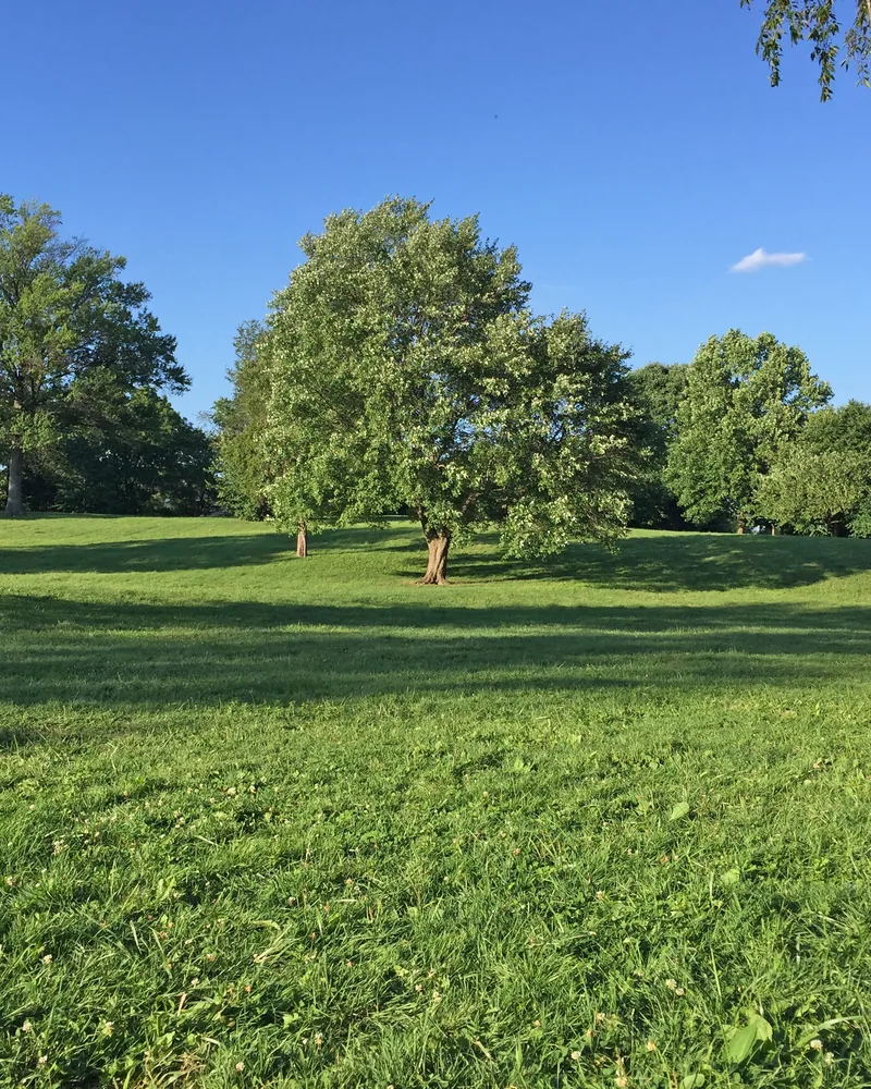 Open ground at Fort Reno Park in Tenleytown, Washington DC